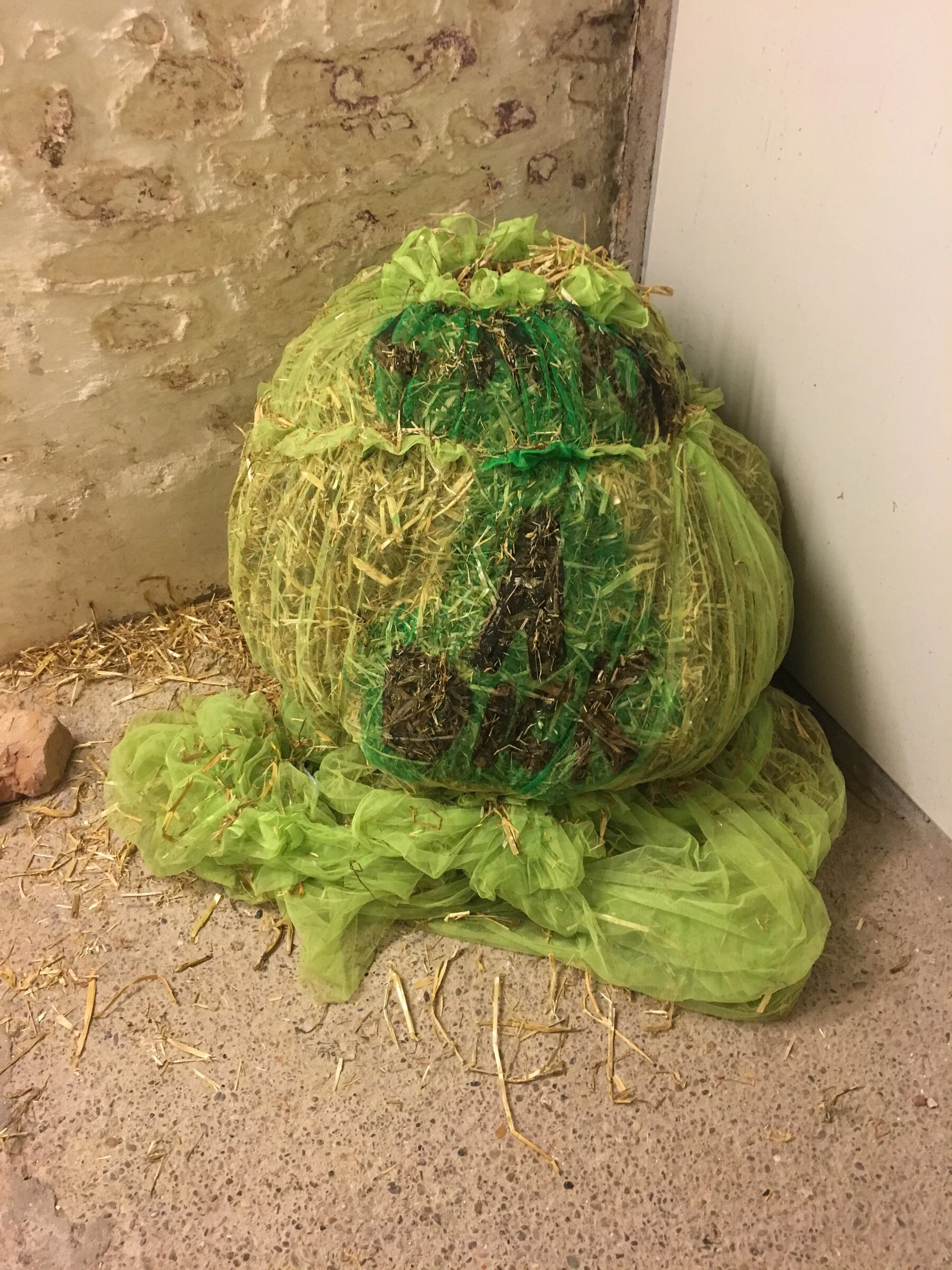 A green tulle costume filled with straw in a corner.