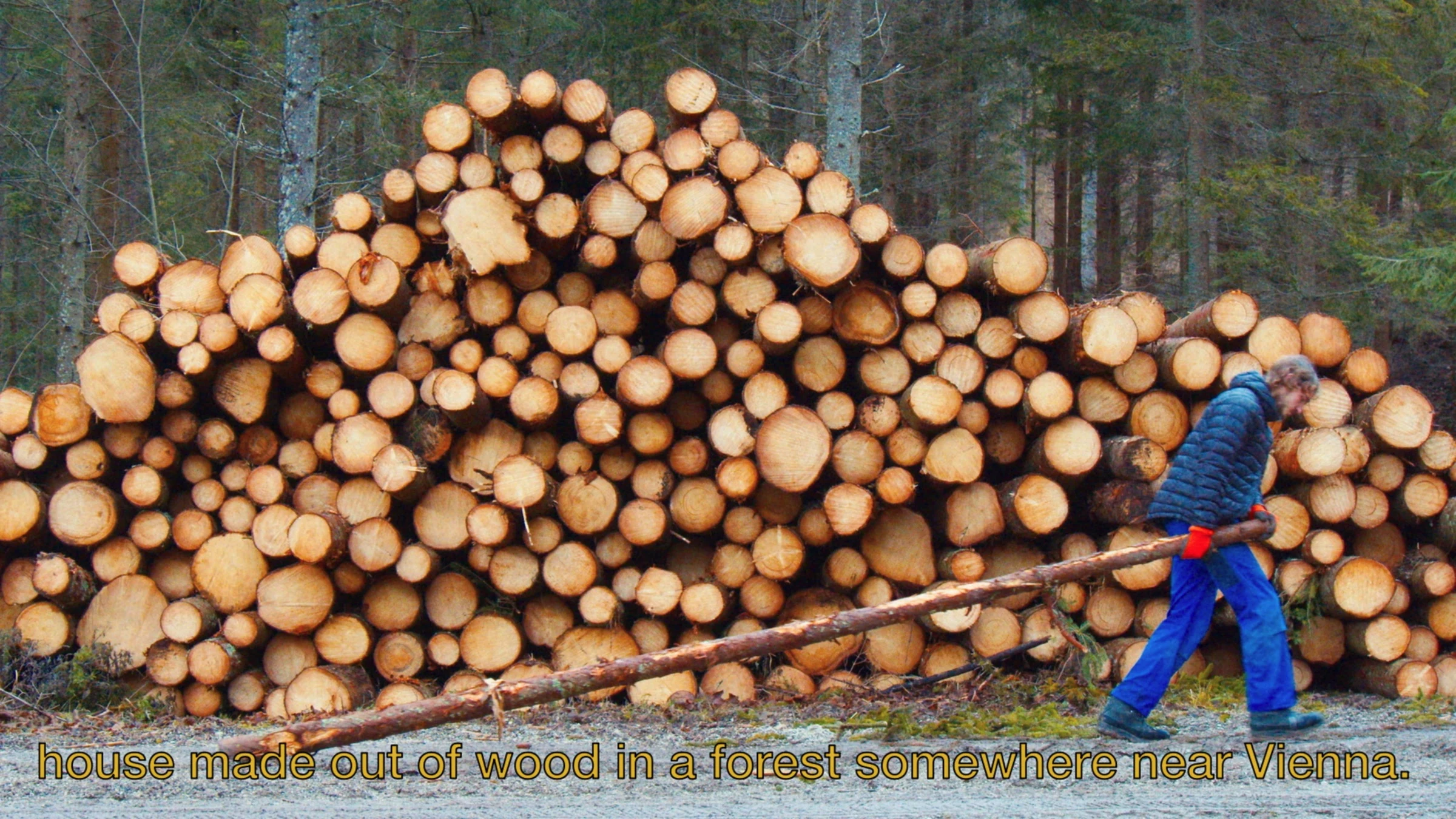 Young Man dragging a log past a stack of timber in the forest.