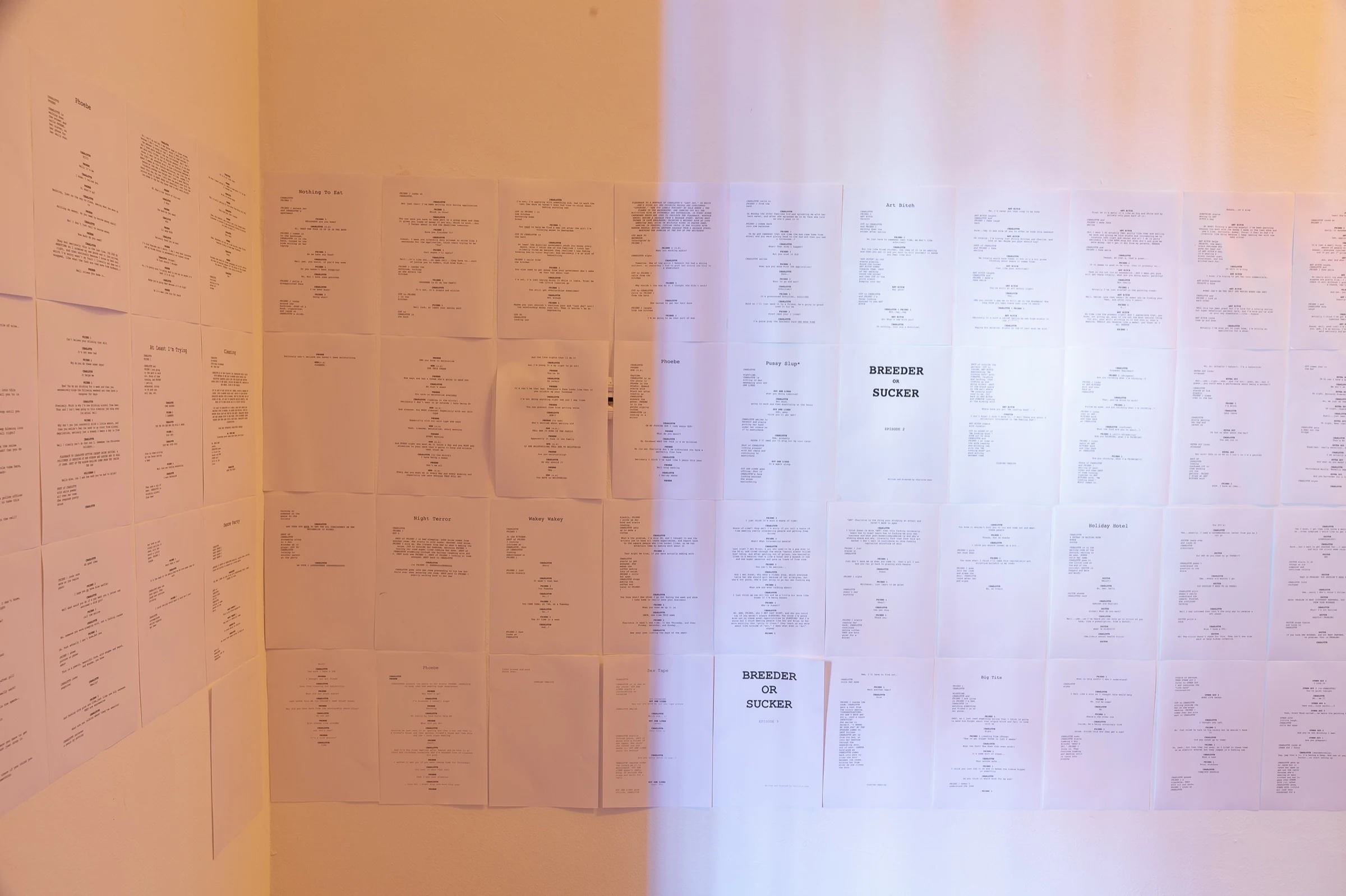 Printed texts displayed on the installation wall.