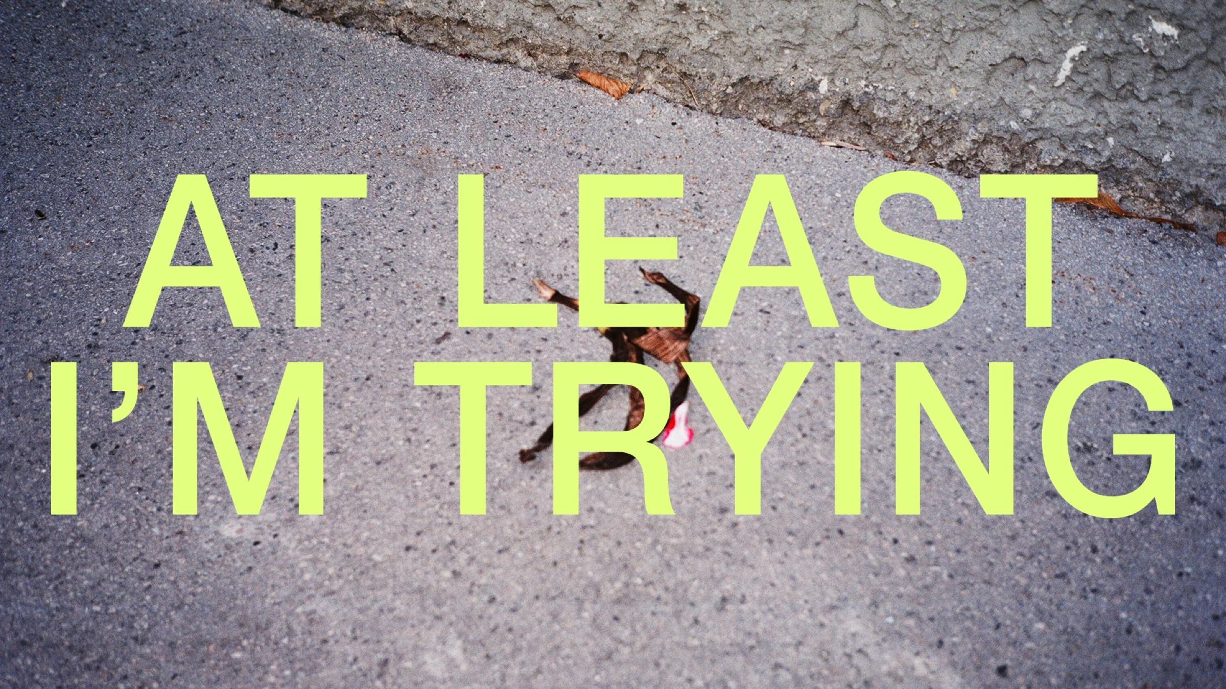 At Least I'm Trying title page with pale green lettering over a pavement photograph.