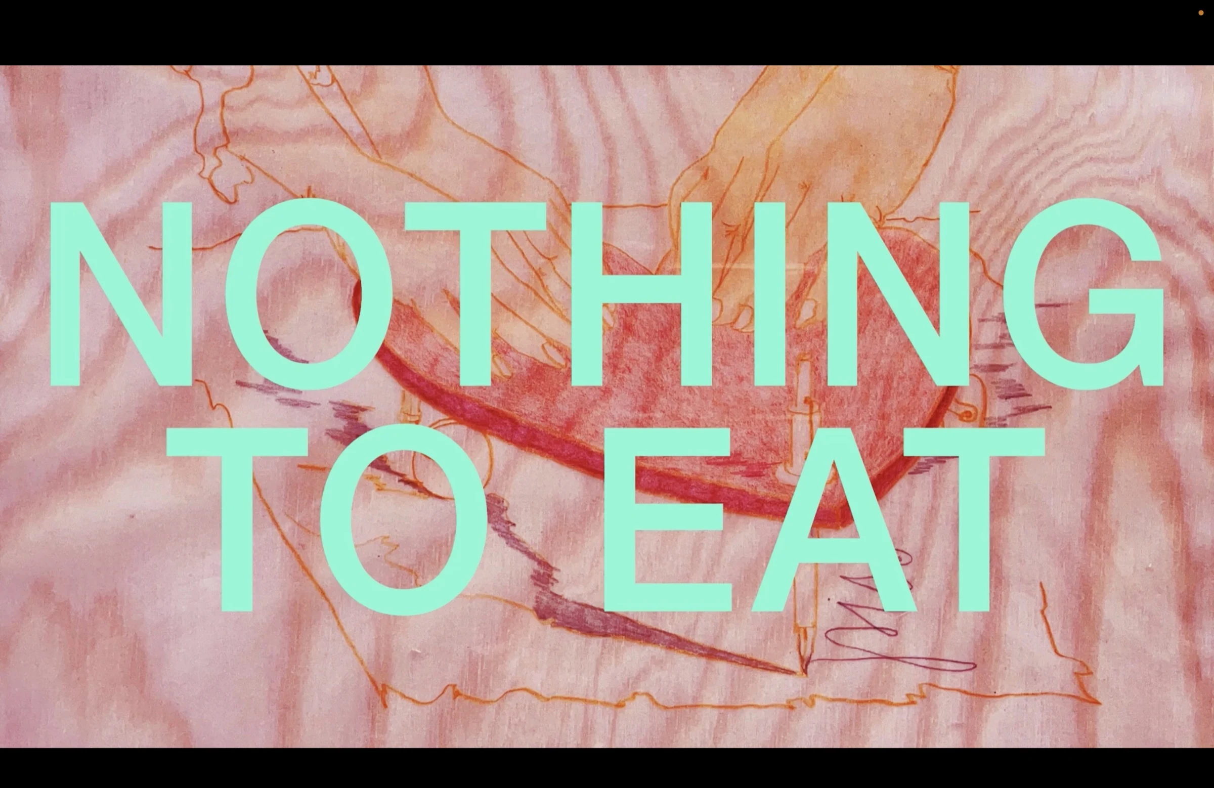 Nothing to Eat title page with mint lettering over a pink drawing.