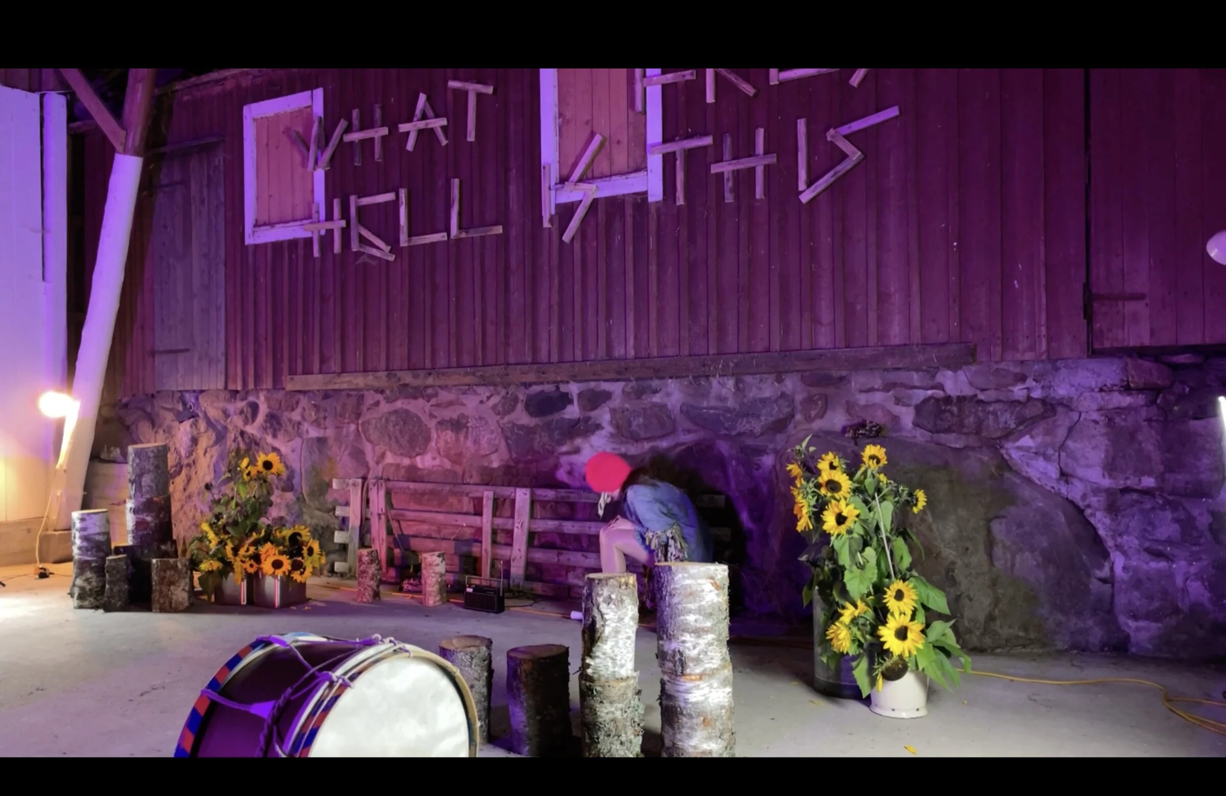 A performer in a red hat seated beside sunflowers and birch logs.